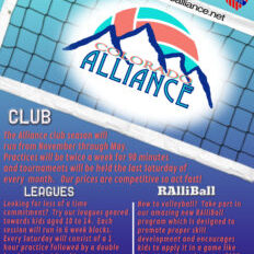 Alliance Flyer with website